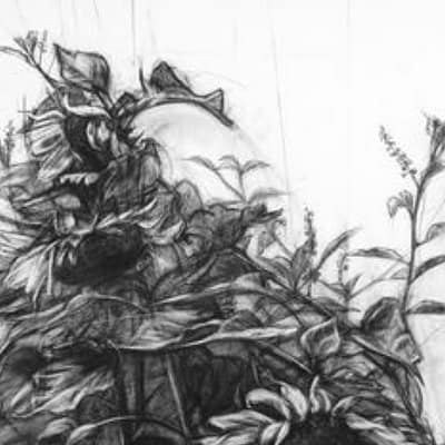 August Drawing Club